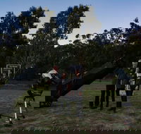 Stargazing Busselton with Mobile Observatory - Tweed Heads Accommodation