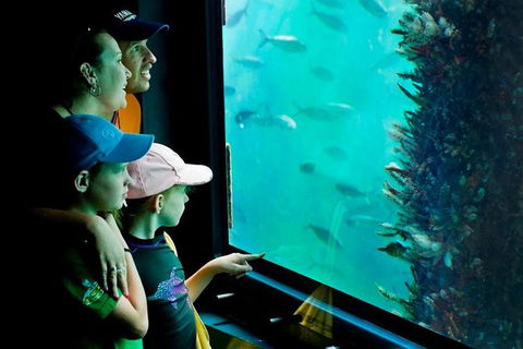2-hour Busselton Jetty Package: Jetty Train And Underwater Observatory - Tweed Heads Accommodation 1