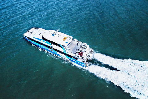 Rottnest Island Roundtrip Ferry From Perth With Transfer - Tweed Heads Accommodation 1