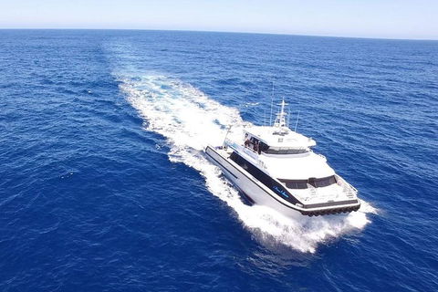 Dunsborough Whale Watching Eco Tour - Tweed Heads Accommodation 8