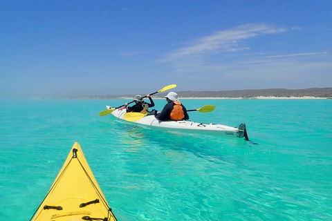 Lagoon Explorer - Ningaloo Reef Full-Day Kayaking And Snorkeling Adventure - Tweed Heads Accommodation 7