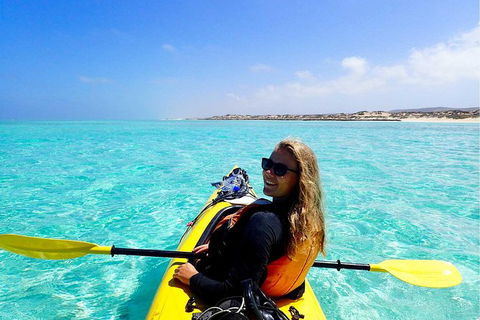 Lagoon Explorer - Ningaloo Reef Full-Day Kayaking And Snorkeling Adventure - Tweed Heads Accommodation 2
