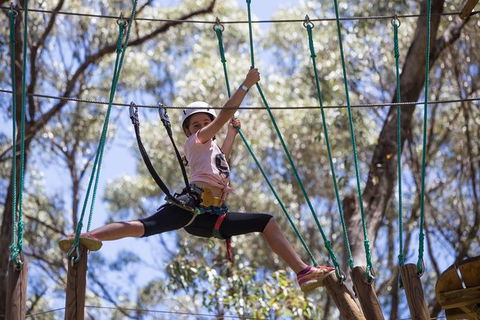 Busselton High Ropes And Zipline Adventure - Tweed Heads Accommodation 1