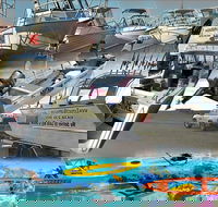 6-Metre Boat Renat Explore Exmouth's Ningaloo Reef - Tweed Heads Accommodation