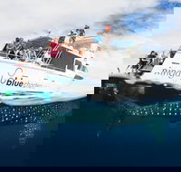 VIP luxury chartered escapes exploring the reef at your own pace - Tweed Heads Accommodation