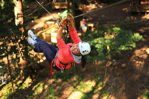 Trees Adventure Lane Poole Park - Treetop & Zipline Experience - Tweed Heads Accommodation 0