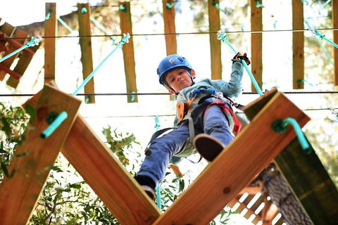 Trees Adventure Lane Poole Park - Treetop & Zipline Experience - Tweed Heads Accommodation 1