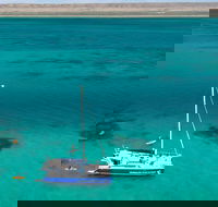 Whale Shark Swim by Catamaran in Shoulder Season - Tweed Heads Accommodation