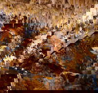 Jewel Cave Fully-guided Tour - Tweed Heads Accommodation