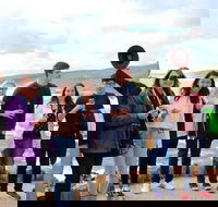 Margaret River Wine and Sights Discovery Tour from Busselton or Dunsborough - Tweed Heads Accommodation