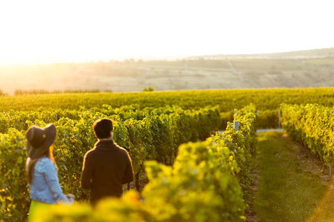 Margaret River Private Tour - Tweed Heads Accommodation 2