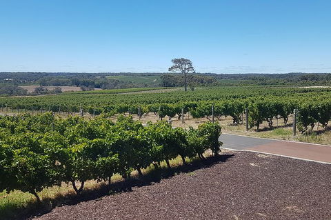 Full Day Winery And Brewery Tour In A Classic Silver Spirit Rolls Royce - Tweed Heads Accommodation 5