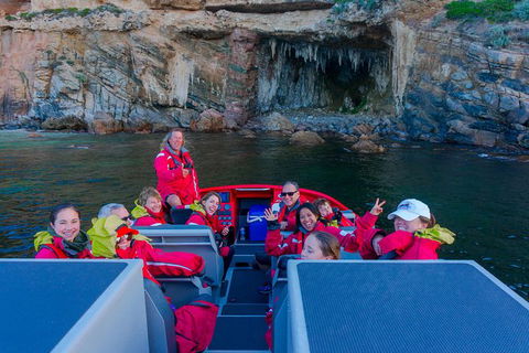 Dunsborough Jet Boat Sea Safari Along Cape Naturaliste Coast - Tweed Heads Accommodation 0