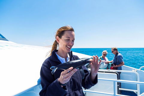 Whale-Watching Cruise And Hillarys Boat Harbour Day Trip From Perth - Tweed Heads Accommodation 6