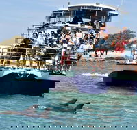 Mandurah Dolphin and Scenic Marine Cruise - Tweed Heads Accommodation