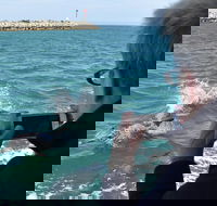 Mandurah Dolphin Island Adventure - Tweed Heads Accommodation