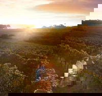 Leeuwin Estate Food and Wine Experience - Tweed Heads Accommodation