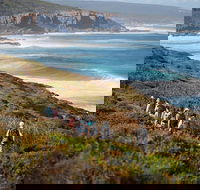 8-Day Cape to Cape Track Guided Walking Tour from Perth - Tweed Heads Accommodation