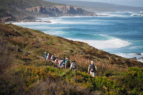 8-Day Cape To Cape Track Guided Walking Tour From Perth - Tweed Heads Accommodation 0