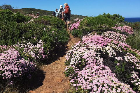 8-Day Cape To Cape Track Guided Walking Tour From Perth - Tweed Heads Accommodation 4