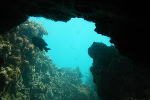 Half-Day Abrolhos Islands Shipwreck Air And Land Tour From Geraldton - Tweed Heads Accommodation 0