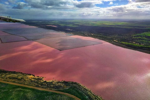 Kalbarri, Pink Lake And Abrolhos Islands Nature Tour - Tweed Heads Accommodation 3