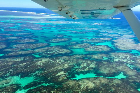 Kalbarri, Pink Lake And Abrolhos Islands Nature Tour - Tweed Heads Accommodation 5