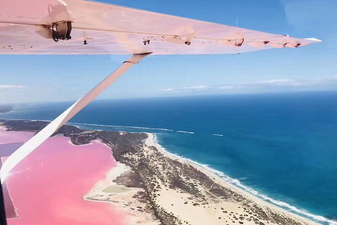 Kalbarri, Pink Lake And Abrolhos Islands Nature Tour - Tweed Heads Accommodation 4
