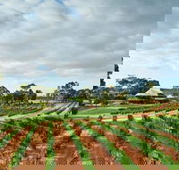 Vasse Felix Winery Tour and Tasting - Tweed Heads Accommodation