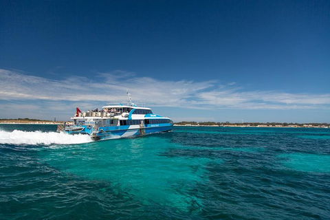 Rottnest Island Oliver Hill Train And Tunnel Day Trip From Fremantle - Tweed Heads Accommodation 1
