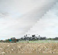 Electric Bike Winery and Brewery Tour - Tweed Heads Accommodation