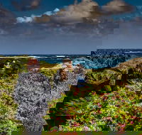 Guided Walks on the Cape to Cape - Wilyabrup Cliffs - Tweed Heads Accommodation