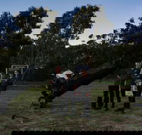Dusk to Dawn Astronomy Margaret River - Tweed Heads Accommodation