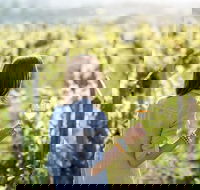 5 Hours Wineries Coffee Tasting Forest  Lunch at the Berry Farm - Tweed Heads Accommodation
