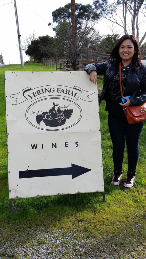 Yarra Valley Wine And Winery Tour From Melbourne - Tweed Heads Accommodation 18