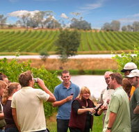 Yarra Valley Wine and Winery Tour from Melbourne - Tweed Heads Accommodation