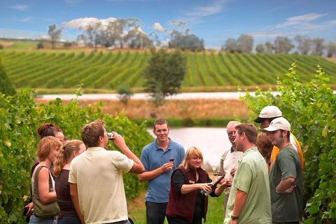 Yarra Valley Wine And Winery Tour From Melbourne - Tweed Heads Accommodation 0