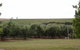 Yarra Valley Wine And Winery Tour From Melbourne - thumb 7