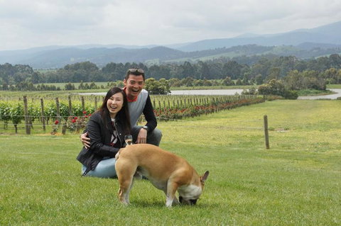 Yarra Valley Wine And Winery Tour From Melbourne - Tweed Heads Accommodation 6