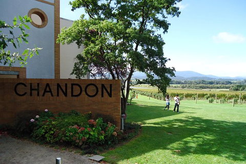Yarra Valley Wine And Winery Tour From Melbourne - Tweed Heads Accommodation 29