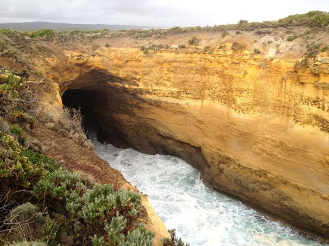Private Tour: Great Ocean Road From Melbourne - Tweed Heads Accommodation 3