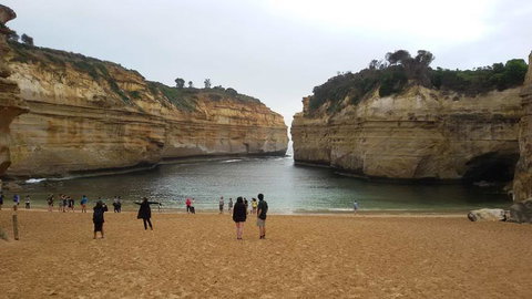 Great Ocean Road Small-Group Ecotour From Melbourne - Tweed Heads Accommodation 20