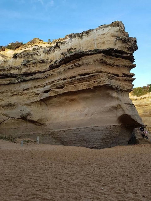 Great Ocean Road Small-Group Ecotour From Melbourne - Tweed Heads Accommodation 10