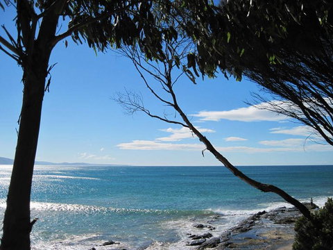 Great Ocean Road Small-Group Ecotour From Melbourne - Tweed Heads Accommodation 4