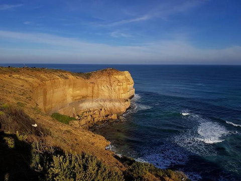 Great Ocean Road Small-Group Ecotour From Melbourne - Tweed Heads Accommodation 9