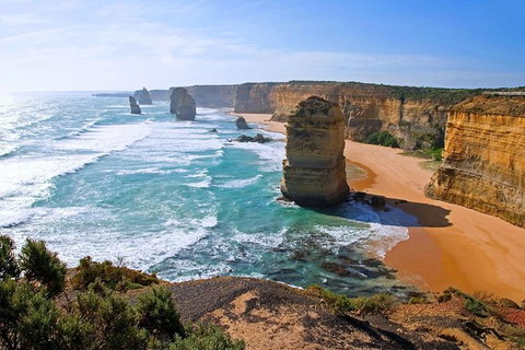 Great Ocean Road Small-Group Ecotour From Melbourne - Tweed Heads Accommodation 0