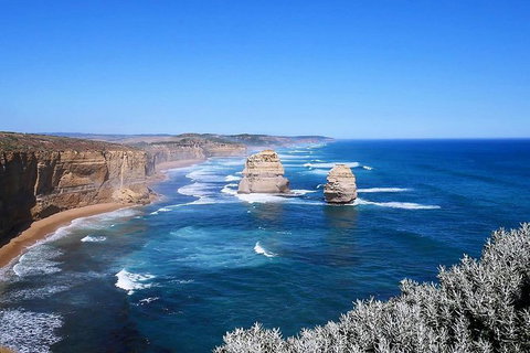 Great Ocean Road Small-Group Ecotour From Melbourne - Tweed Heads Accommodation 31