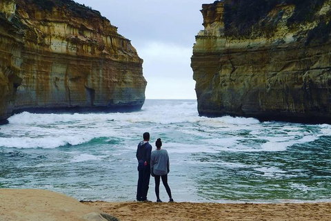 Great Ocean Road Small-Group Ecotour From Melbourne - Tweed Heads Accommodation 29