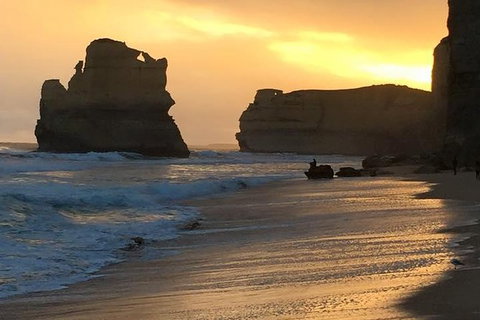 Great Ocean Road Small-Group Ecotour From Melbourne - Tweed Heads Accommodation 33