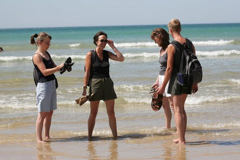 Great Ocean Road Small-Group Ecotour From Melbourne - Tweed Heads Accommodation 34